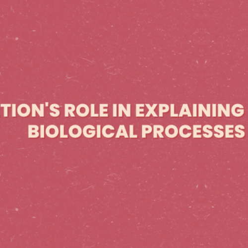 Animation’s Role in Explaining Complex Biological Processes